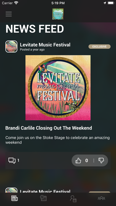 Levitate Music & Arts Festival Screenshot