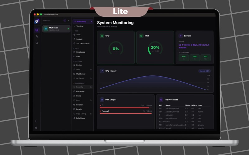 Local Panel Lite screenshot
