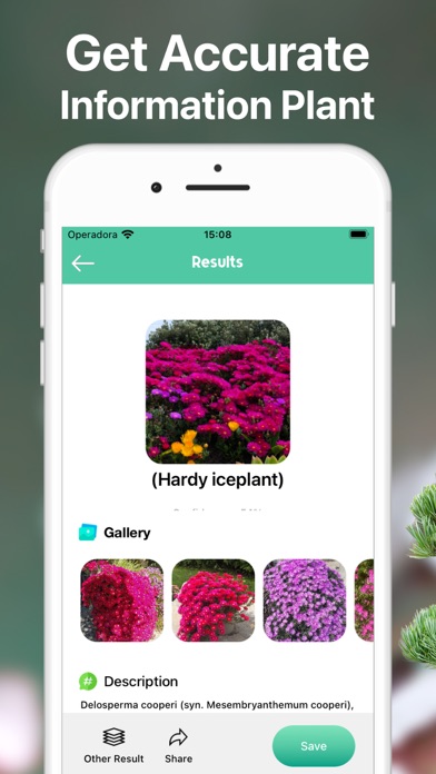 AI Plant Identifier Care Tips Screenshot