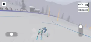 Ski Challenge screenshot 3
