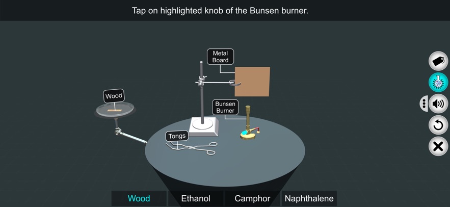 Combustion of Carbon Compounds