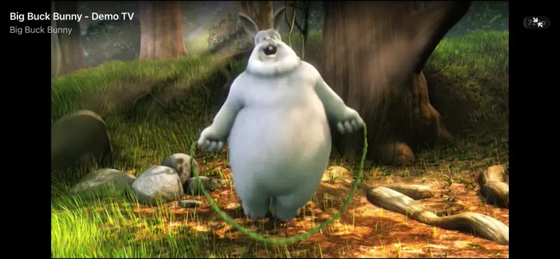 neTV Personal TV Player screenshot 1 of 3