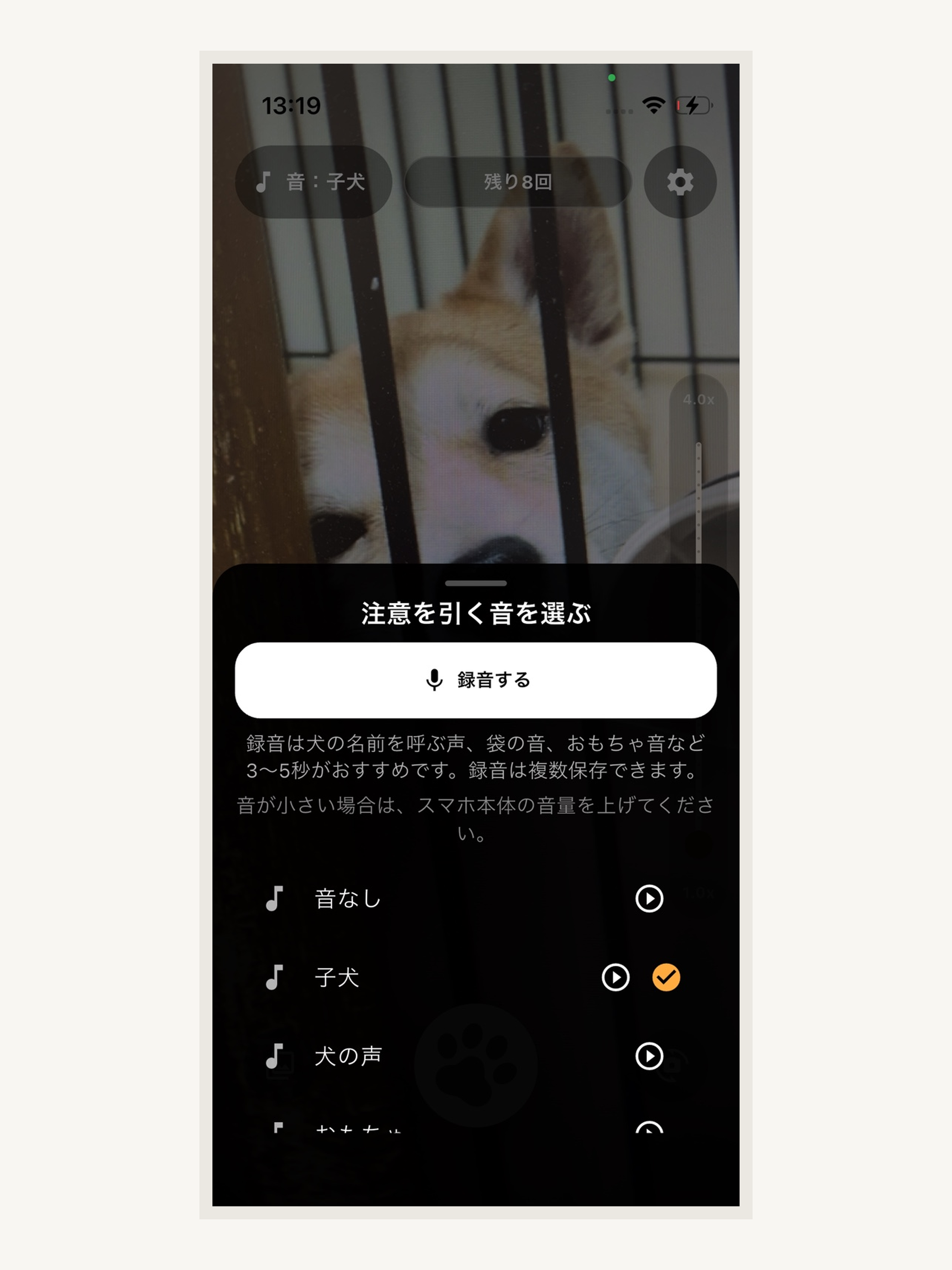 WankoSnap - ワンコスナップ screenshot 8