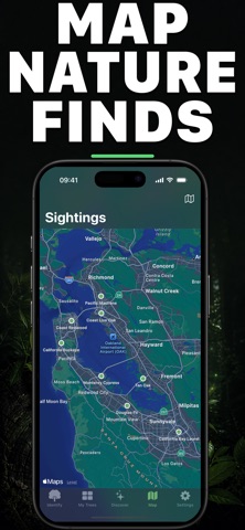 Leafr AI: Tree Identifier Screenshot 4 of 6