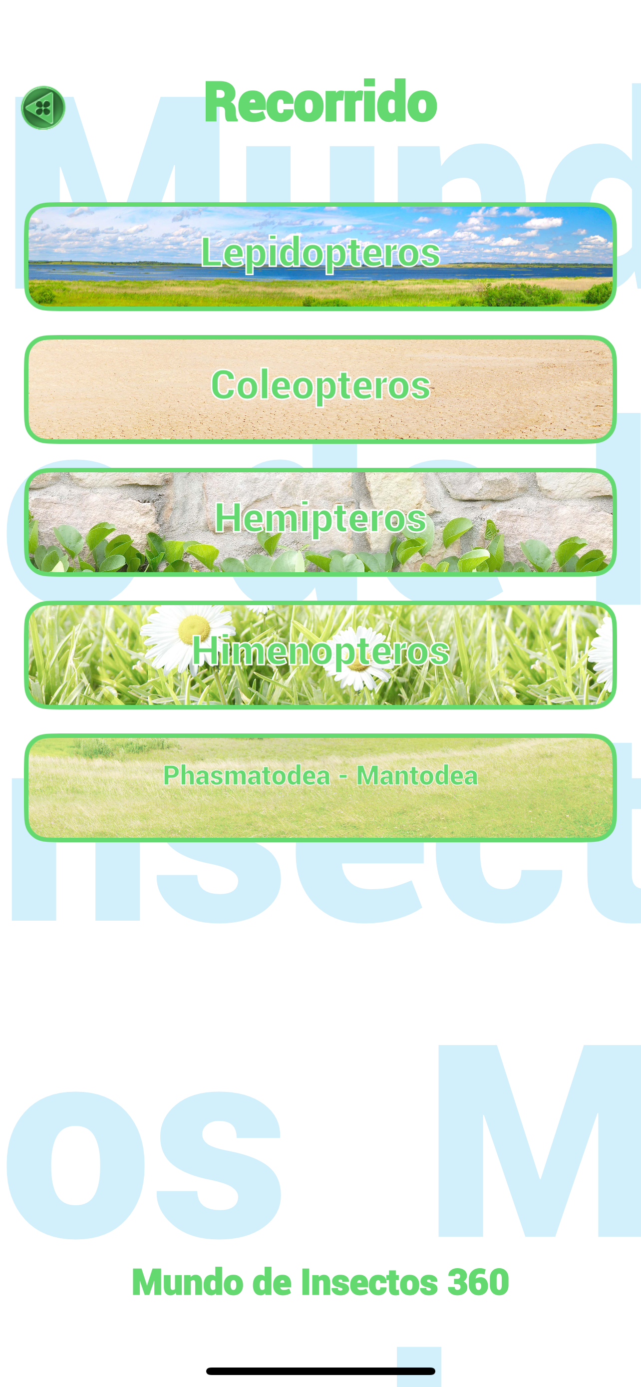 Insectos y arañas