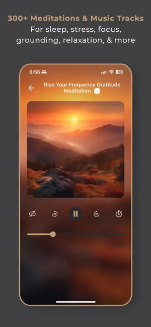 Pura Rasa screenshot 3