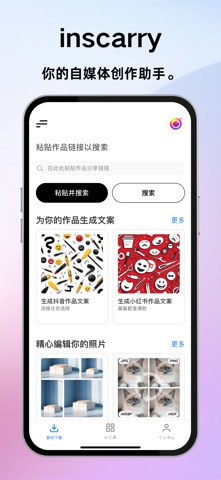 inscarry screenshot