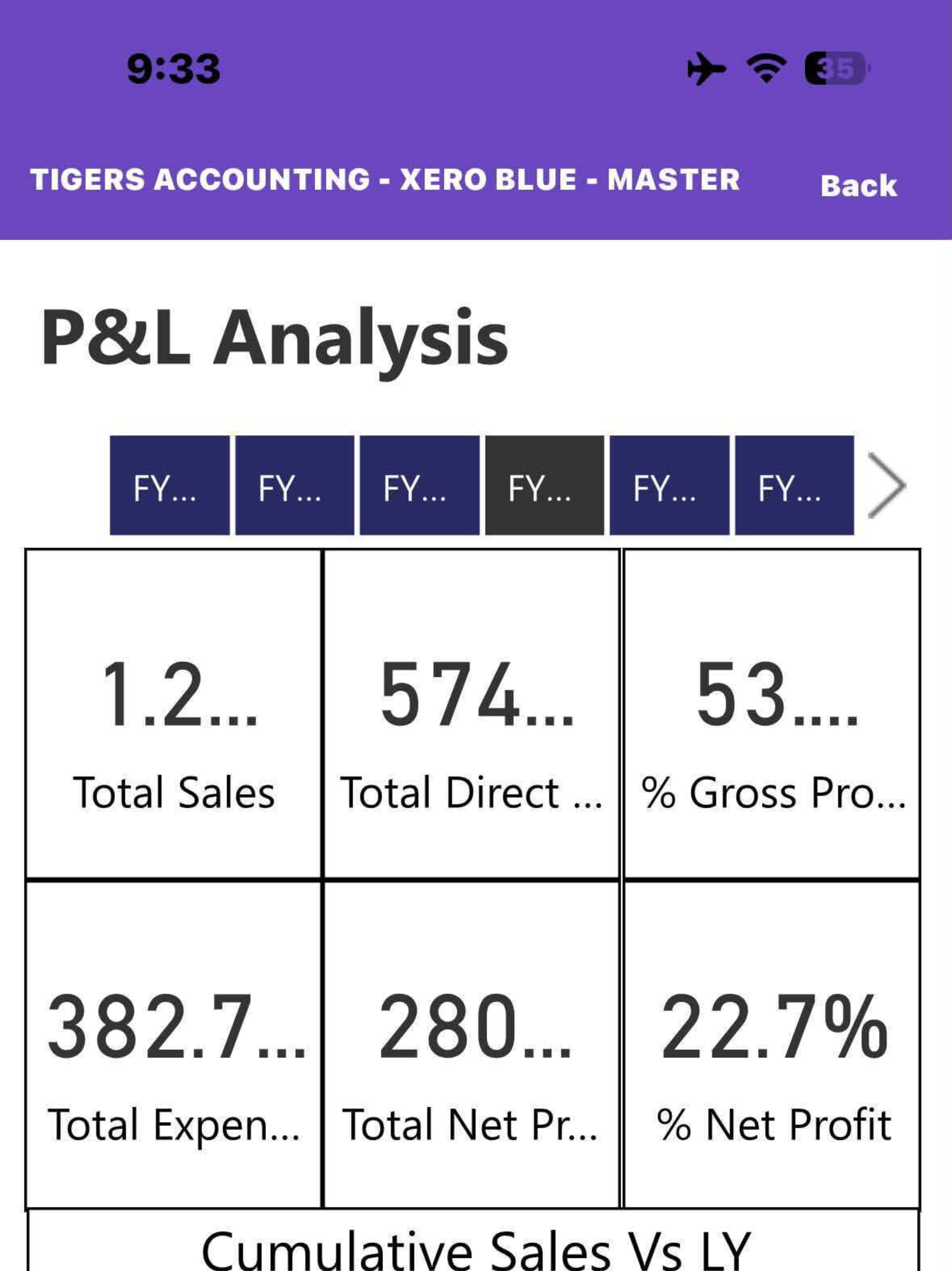 Vibe CFO screenshot 20