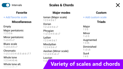 Guitar Fretboard: Scales Screenshot