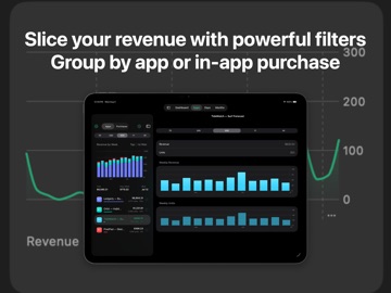 Proceeds — App Store Sales iPad screenshot