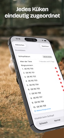 Hühnerzucht screenshot