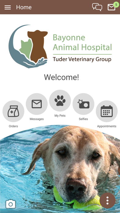 Bayonne Animal Hospital Screenshot