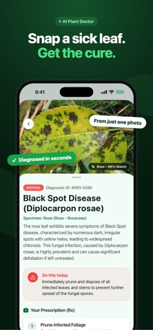 SproutRx: AI Plant Doctor screenshot 1