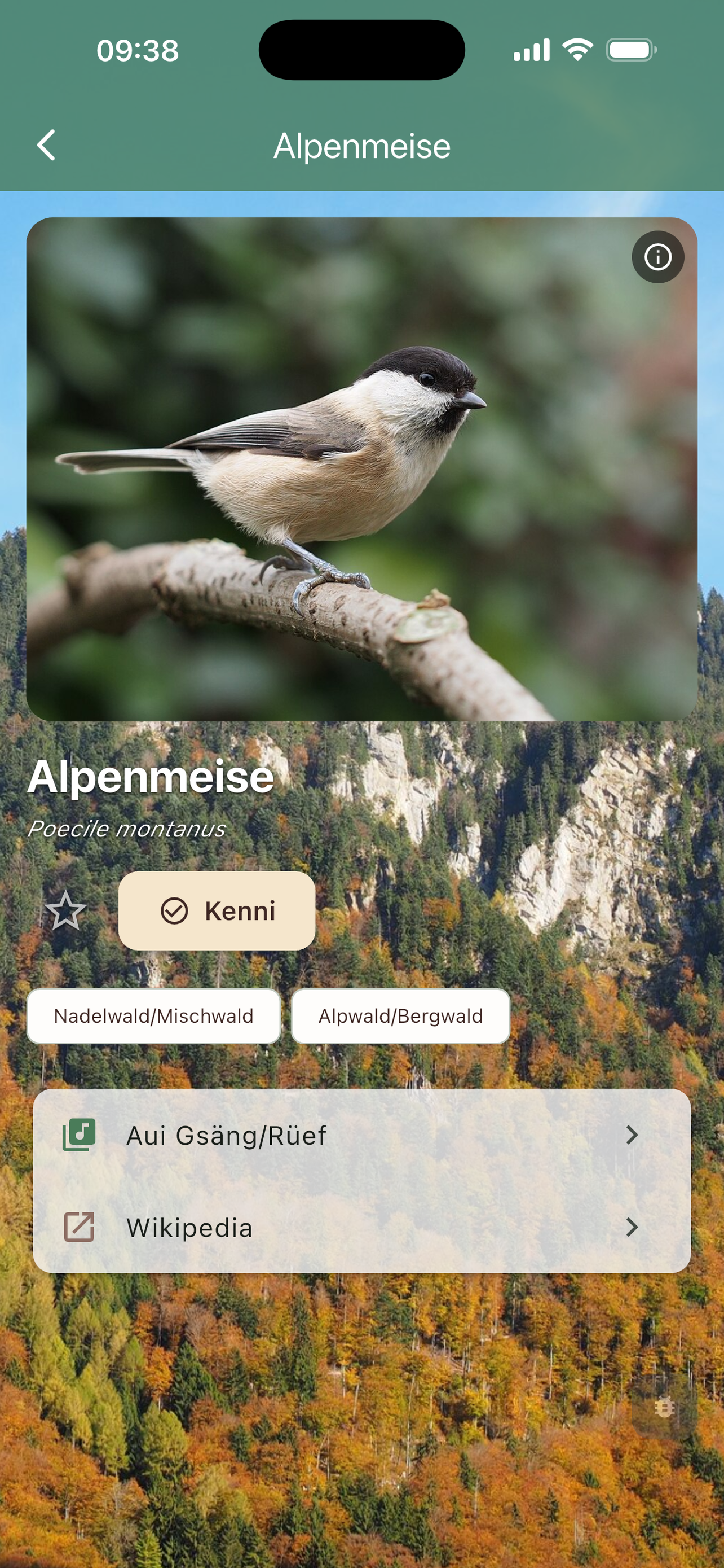 Amslegsang screenshot 3