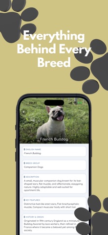 DogWiki: Dog Breed Identifier Screenshot 4 of 6