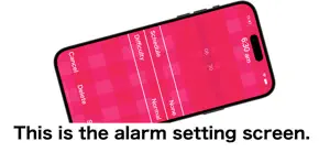 Alarm Clock / Time Signal screenshot 3