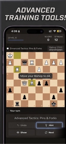 Offline Chess Pro Screenshot 2 of 4