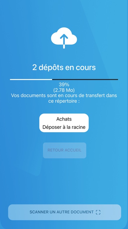 Genevois Experts screenshot-6