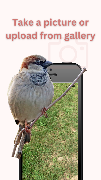 Bird Identifier - Bird+ Screenshot