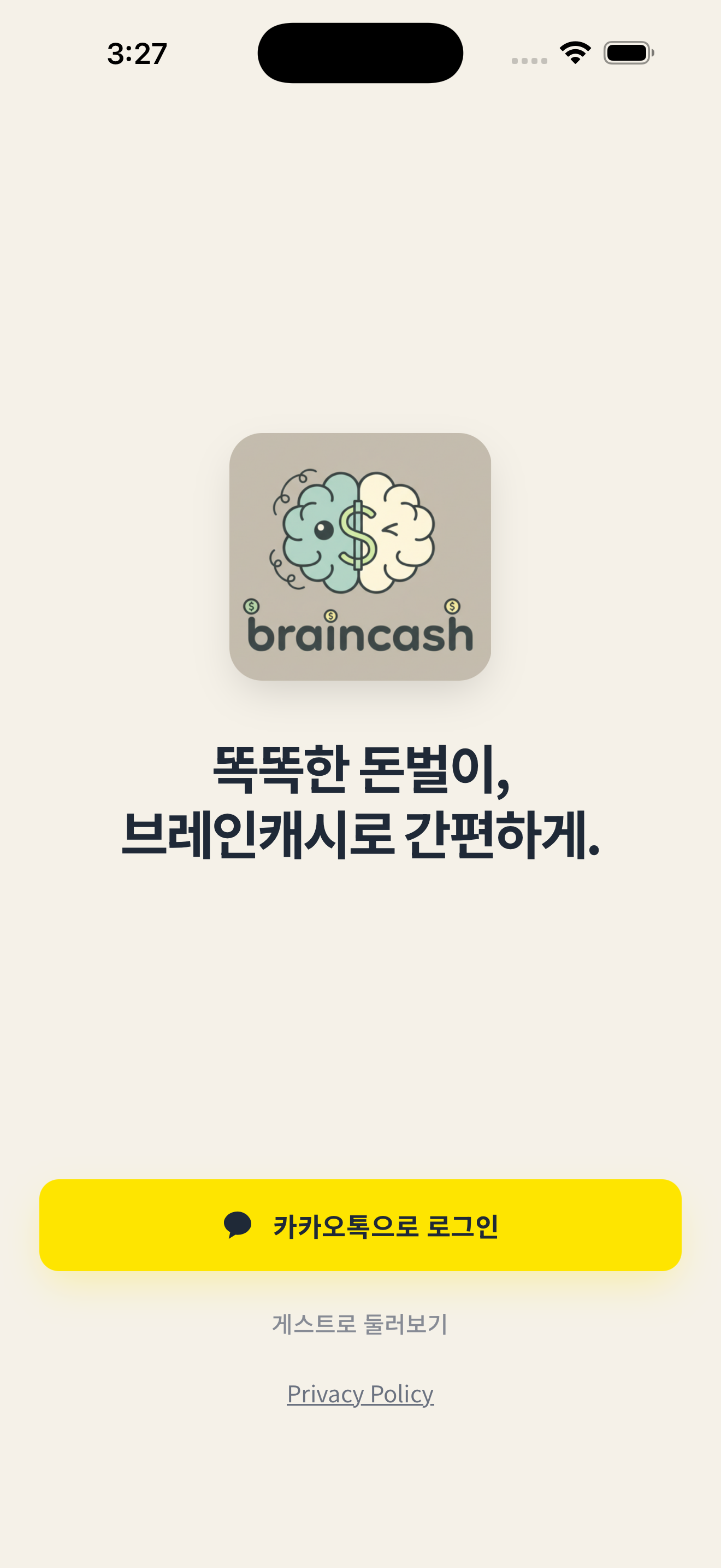 브레인솔루션