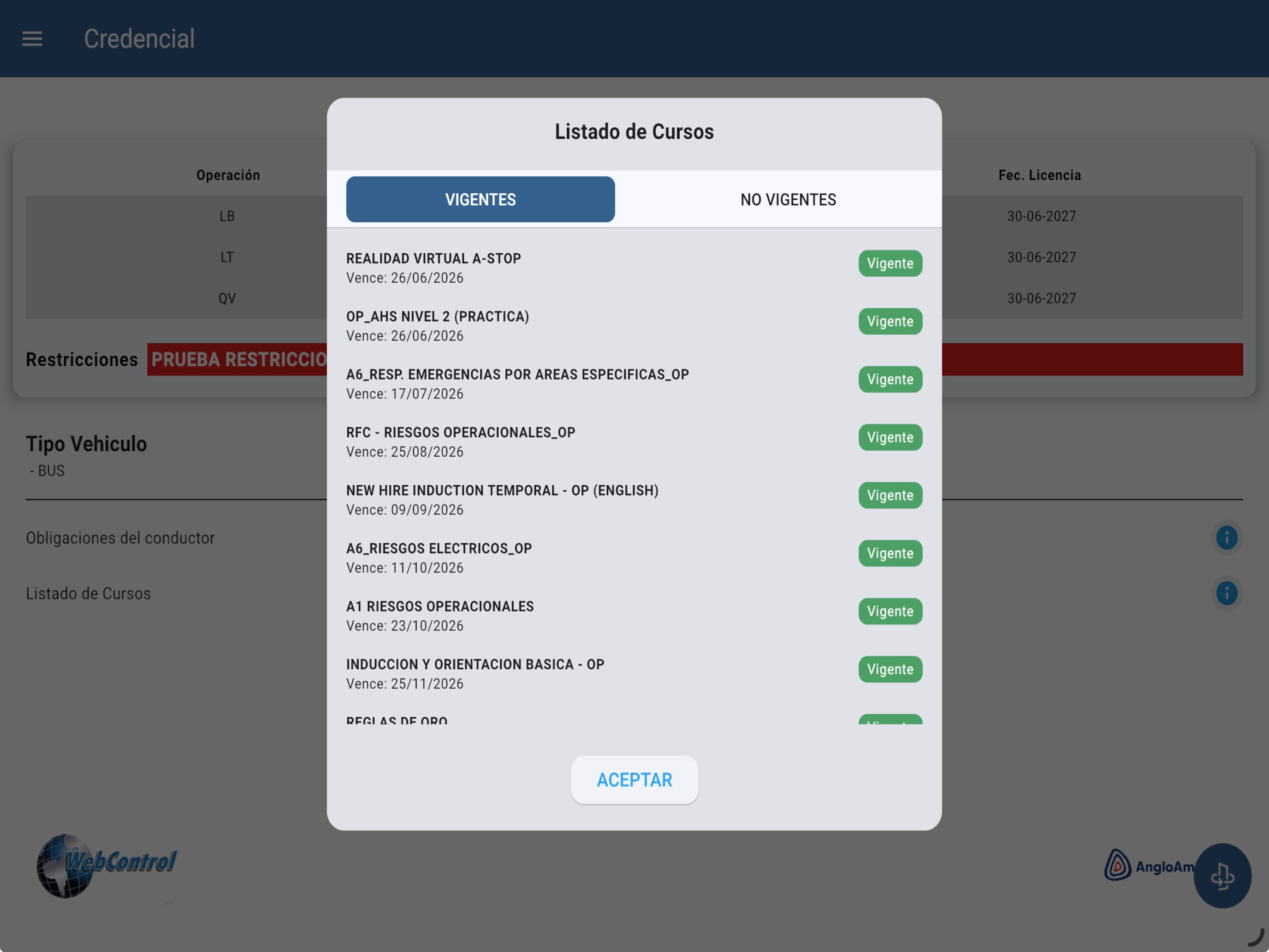 Webcontrol Anglo American screenshot 13