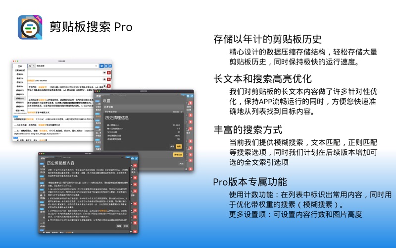 剪贴板搜索Pro - 记录和搜索以年计的剪贴板历史 screenshot