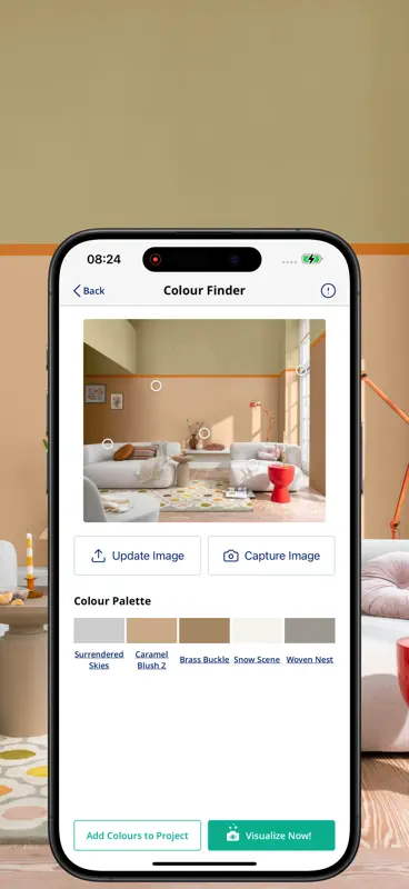 Dulux Visualiser screenshot 8 of 8