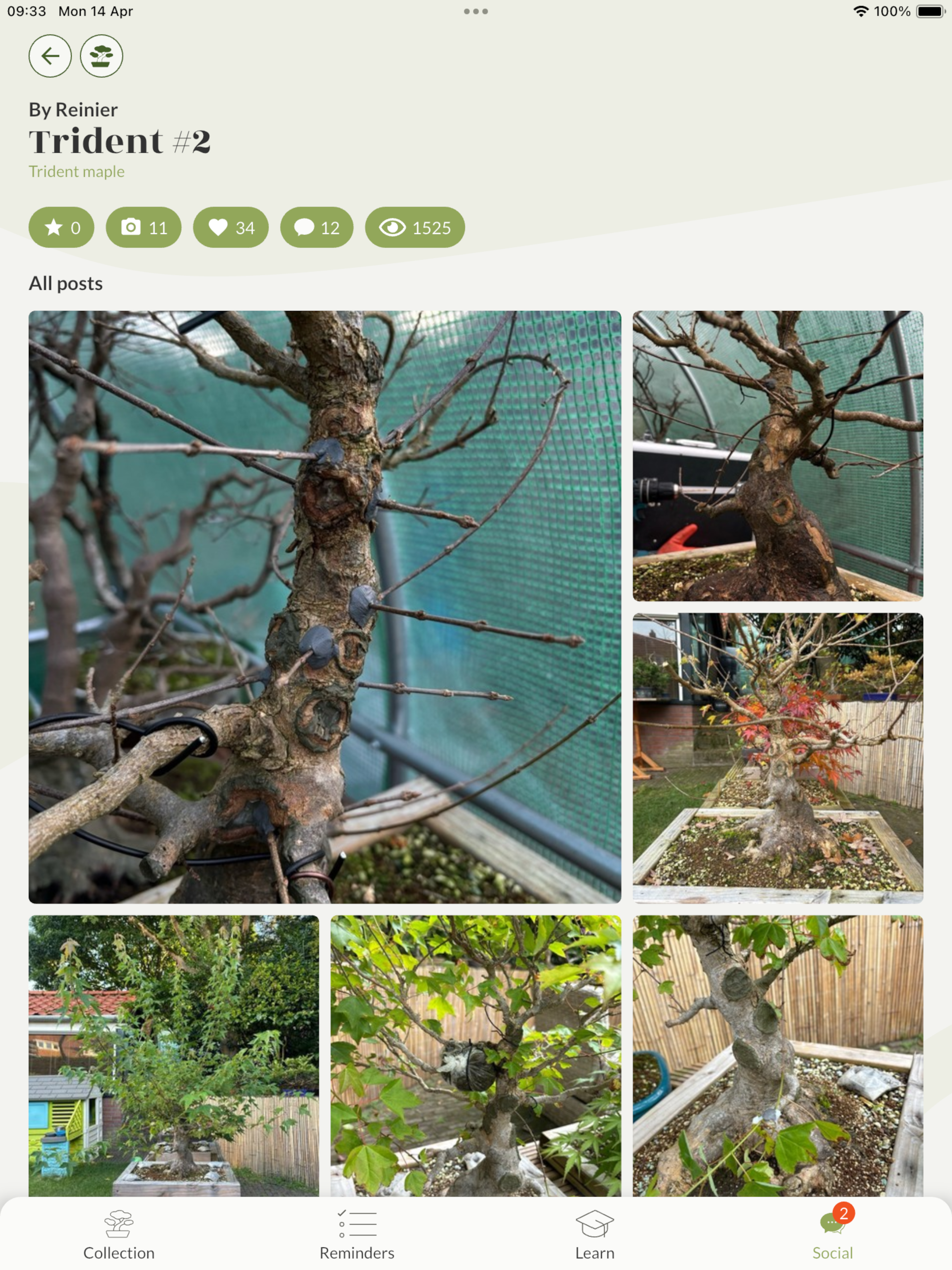 Bonsai Care App