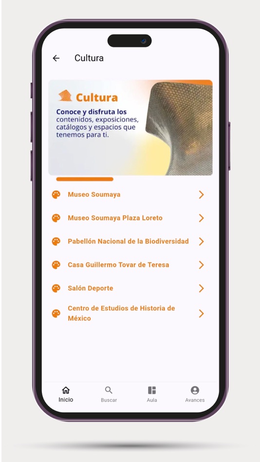#5. Aprende (iOS) Podle: Fundación Carlos Slim