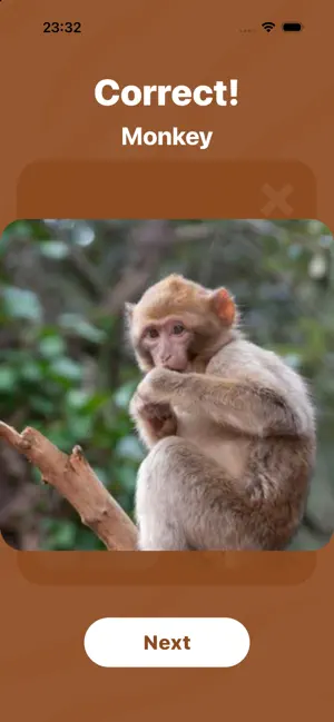 Animal Flashcards - Todly screenshot 4