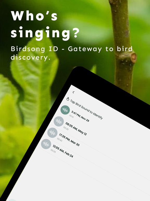 Screenshot #4 pour Bird Sounds Identifier Song ID