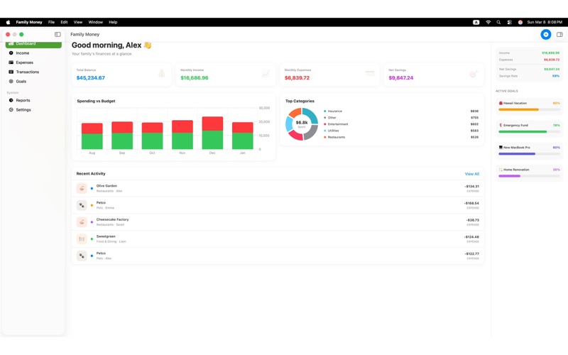 Family Money Pro screenshot