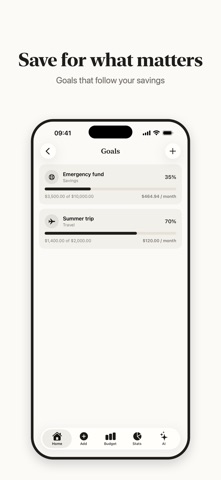Fince: AI Budget Tracker Screenshot 7 of 9
