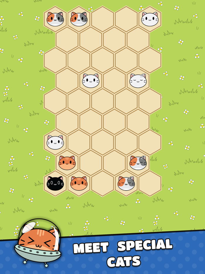 Cute Puzzle Hex Cat