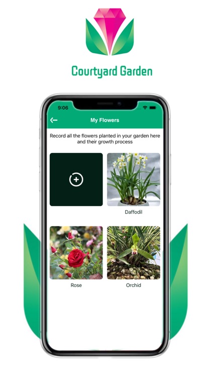 Courtyard Garden screenshot-4