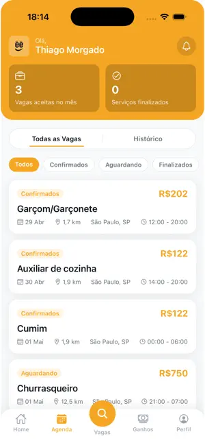 Freela Serviços iPhone screenshot 2