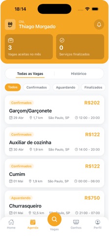 Freela Serviços iPhone screenshot 2