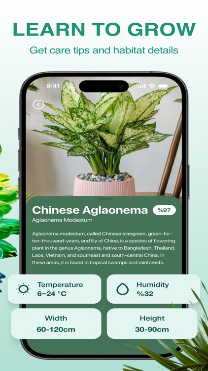 PlantExpert Leaf Identifier