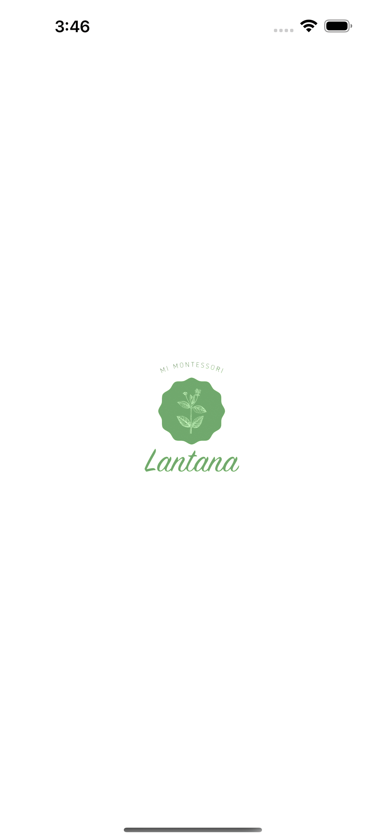 MI Lantana