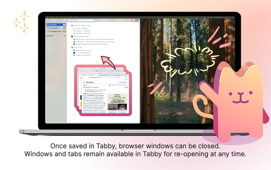 #4. Tabby - Browser Tab Manager (macOS) 由: Fischnet Solutions, Inc.