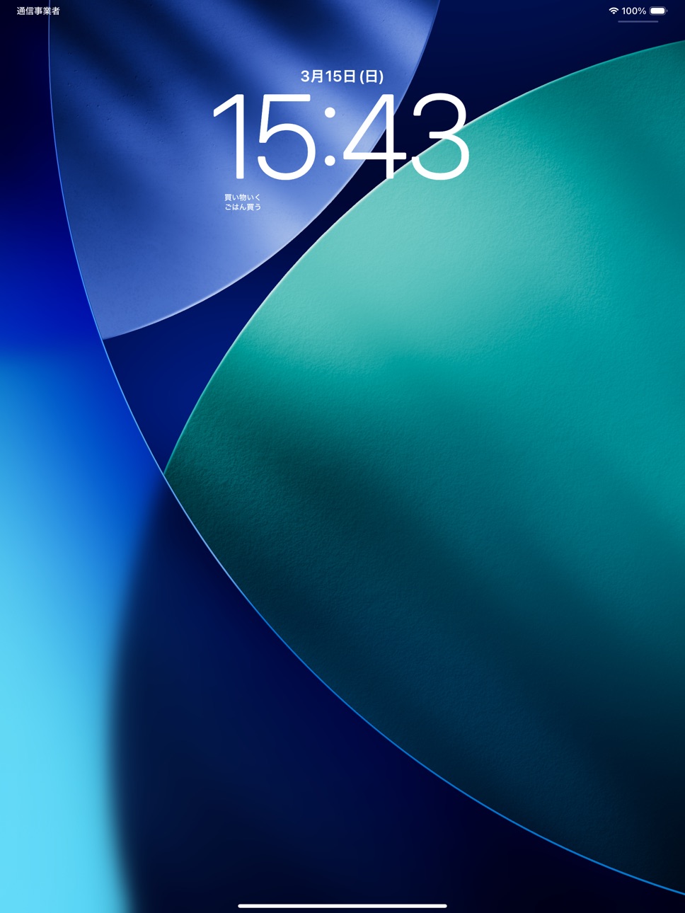 iPad screenshot