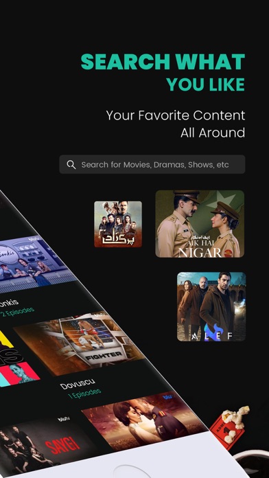 Vidly.tv: Pakistani Movies Screenshot