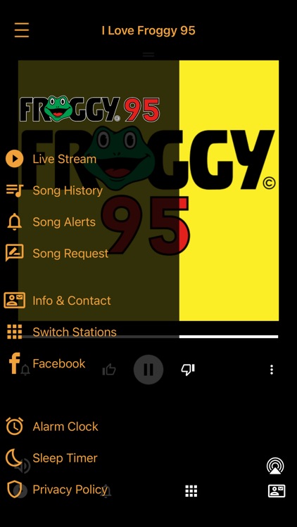 I Love Froggy 95