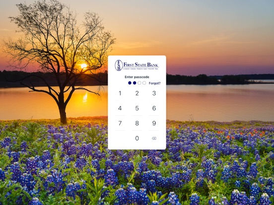 FSB - myMobile iPad screenshot 2 - Finance app