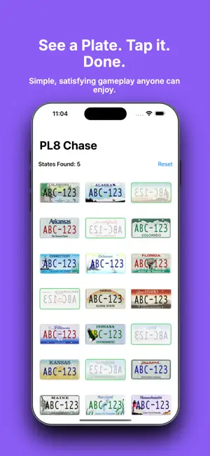 PL8 Chase: License Plate Game screenshot 2