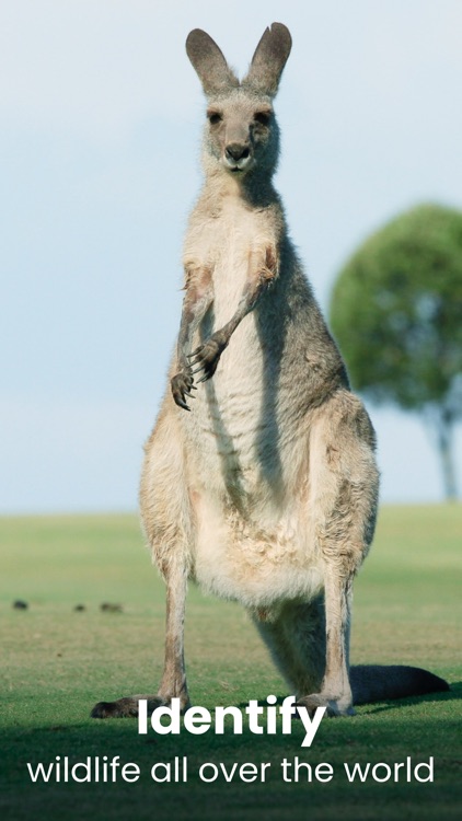 Plant & Animal ID・EarthSnap screenshot-4