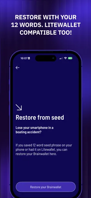 Brainwallet: Litecoin Wallet screenshot 3