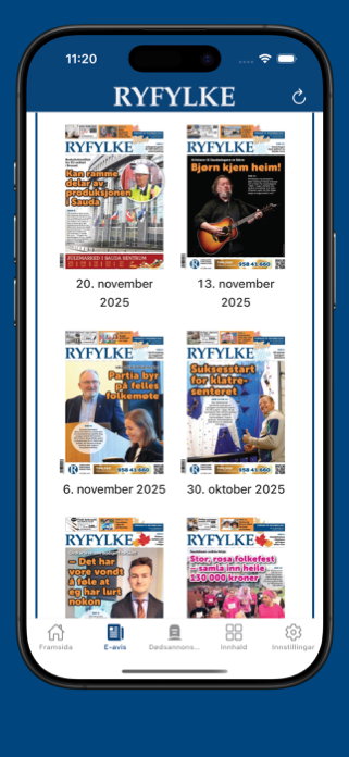 Ryfylke Screenshot 4 of 5