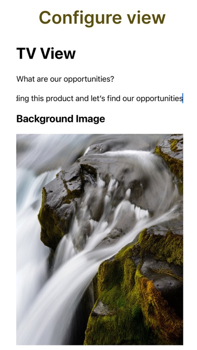 Presently: Present Media,Timer Screenshot