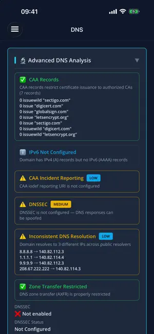 DomainLens Pro screenshot 3